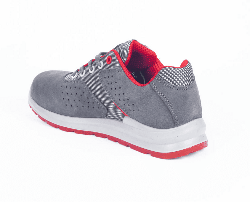 Zrzut ekranu 2026-02-20 143750