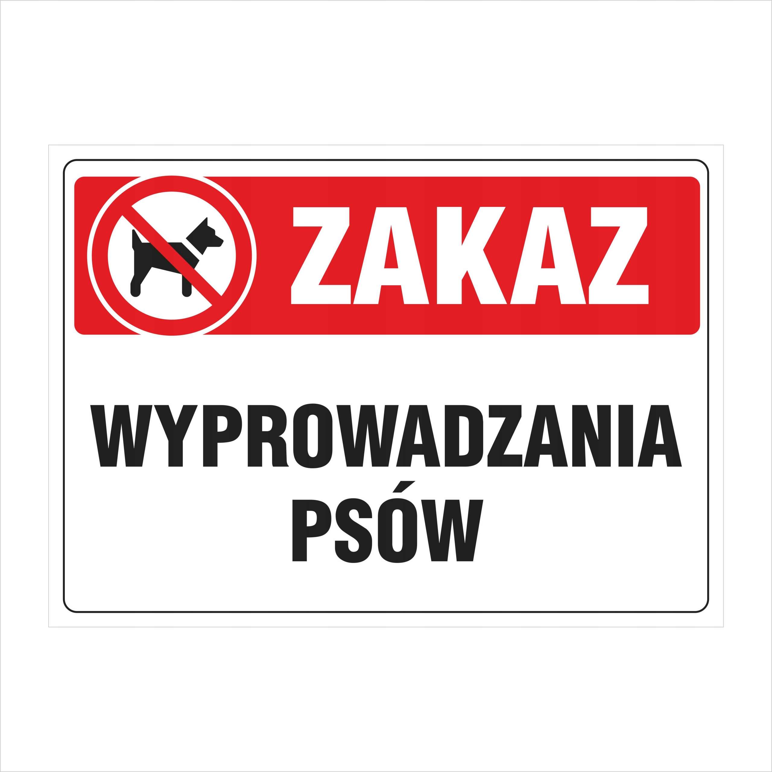 2c2a426a463883e6c8ac93fea5ce.jpeg
